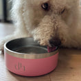 Load image into Gallery viewer, gifts for doodle lovers, golden doodle baby stuff, stuff for goldendoodles, Goldendoodle, Goldendoodle gifts, Goldendoodle toys, Goldendoodle T shirt, Goldendoodle hoodie, Goldendoodle hat, Goldendoodle beanie, Goldendoodle pet bowl, Goldendoodle food bowls for dogs, Goldendoodle donuts, Goldendoodle yeti bowl, Goldendoodle dad, Goldendoodle mom