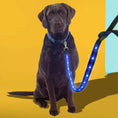 Load image into Gallery viewer, gifts for doodle lovers, golden doodle baby stuff, stuff for goldendoodles, Goldendoodle, Goldendoodle gifts, Goldendoodle toys, Goldendoodle Light Up Flashing LED Leash, Goldendoodle Flashing LED Leash, Goldendoodle LED Leash, Goldendoodle Leash, Goldendoodle Dog Light Up LED Leash, Goldendoodle Dog LED Leash, Goldendoodle Dog Leash, Goldendoodle Dog Belt, Goldendoodle dad Dog Belt, Goldendoodle mom, Golden head, Golden doodle, Golden doodle Dog, Gifts for golden doodle, Golden Doodle Necessities,