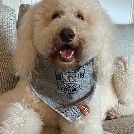 gifts for doodle lovers, golden doodle baby stuff, stuff for goldendoodles, Goldendoodle, Goldendoodle gifts, Goldendoodle toys, Goldendoodle Linen Cotton Doodle Heads Luxury Bandana, Goldendoodle Linen Cotton Doodle Heads Bandana, Goldendoodle Cotton Doodle Heads Luxury Bandana, Goldendoodle Linen Cotton Luxury Bandana, Goldendoodle Dog Cotton Bandana, Goldendoodle Luxury Bandana, Goldendoodle Bandana, Goldendoodle Dog Cotton Luxury Bandana