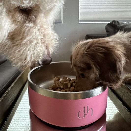 gifts for doodle lovers, golden doodle baby stuff, stuff for goldendoodles, Goldendoodle, Goldendoodle gifts, Goldendoodle toys, Goldendoodle T shirt, Goldendoodle hoodie, Goldendoodle hat, Goldendoodle beanie, Goldendoodle pet bowl, Goldendoodle food bowls for dogs, Goldendoodle donuts, Goldendoodle yeti bowl, Goldendoodle dad, Goldendoodle mom