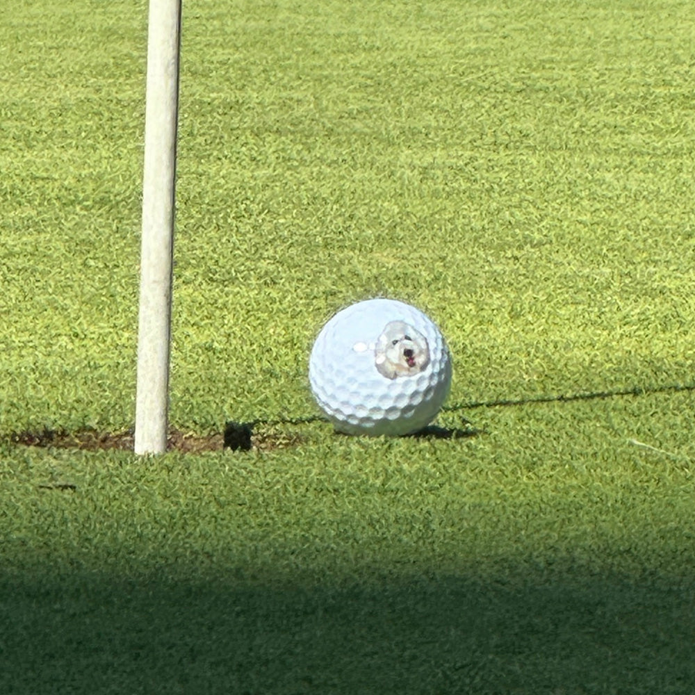 gifts for doodle lovers, golden doodle baby stuff, stuff for goldendoodles, Goldendoodle, Goldendoodle gifts, Goldendoodle golf ball, Goldendoodle balls, Goldendoodle golf accessories, Goldendoodle ball, Goldendoodle balls, Goldendoodle ball for golf, Goldendoodle Stanley cups, Goldendoodle donuts, Goldendoodle yeti bowl, Goldendoodle dad, Goldendoodle mom, Golden head; Golden doodle; Golden doodle Dog; Gifts for golden doodle; Golden Doodle Necessities