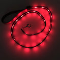 Load image into Gallery viewer, gifts for doodle lovers, golden doodle baby stuff, stuff for goldendoodles, Goldendoodle, Goldendoodle gifts, Goldendoodle toys, Goldendoodle Light Up Flashing LED Leash, Goldendoodle Flashing LED Leash, Goldendoodle LED Leash, Goldendoodle Leash, Goldendoodle Dog Light Up LED Leash, Goldendoodle Dog LED Leash, Goldendoodle Dog Leash, Goldendoodle Dog Belt, Goldendoodle dad Dog Belt, Goldendoodle mom, Golden head, Golden doodle, Golden doodle Dog, Gifts for golden doodle, Golden Doodle Necessities,