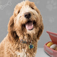 Load image into Gallery viewer, Yeti dog bowl Toys for golden doodles toy stuffed dog toy stuff for goldendoodles stimulating dog toy squeaky toy set squeaky toy box squeaky toy squeaky pet toys squeaky donut toys squeaky dog toys squeaky dog toy set Small Doodle toys small dog toys small dog toy Sheepadoodle Dog toys PP cotton dog toy polyester dog toy playful pet toys