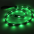 Load image into Gallery viewer, gifts for doodle lovers, golden doodle baby stuff, stuff for goldendoodles, Goldendoodle, Goldendoodle gifts, Goldendoodle toys, Goldendoodle Light Up Flashing LED Leash, Goldendoodle Flashing LED Leash, Goldendoodle LED Leash, Goldendoodle Leash, Goldendoodle Dog Light Up LED Leash, Goldendoodle Dog LED Leash, Goldendoodle Dog Leash, Goldendoodle Dog Belt, Goldendoodle dad Dog Belt, Goldendoodle mom, Golden head, Golden doodle, Golden doodle Dog, Gifts for golden doodle, Golden Doodle Necessities,