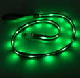 Load image into Gallery viewer, gifts for doodle lovers, golden doodle baby stuff, stuff for goldendoodles, Goldendoodle, Goldendoodle gifts, Goldendoodle toys, Goldendoodle Light Up Flashing LED Leash, Goldendoodle Flashing LED Leash, Goldendoodle LED Leash, Goldendoodle Leash, Goldendoodle Dog Light Up LED Leash, Goldendoodle Dog LED Leash, Goldendoodle Dog Leash, Goldendoodle Dog Belt, Goldendoodle dad Dog Belt, Goldendoodle mom, Golden head, Golden doodle, Golden doodle Dog, Gifts for golden doodle, Golden Doodle Necessities,