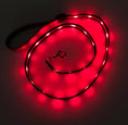 Load image into Gallery viewer, gifts for doodle lovers, golden doodle baby stuff, stuff for goldendoodles, Goldendoodle, Goldendoodle gifts, Goldendoodle toys, Goldendoodle Light Up Flashing LED Leash, Goldendoodle Flashing LED Leash, Goldendoodle LED Leash, Goldendoodle Leash, Goldendoodle Dog Light Up LED Leash, Goldendoodle Dog LED Leash, Goldendoodle Dog Leash, Goldendoodle Dog Belt, Goldendoodle dad Dog Belt, Goldendoodle mom, Golden head, Golden doodle, Golden doodle Dog, Gifts for golden doodle, Golden Doodle Necessities,