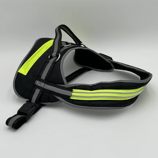 gifts for doodle lovers, golden doodle baby stuff, stuff for goldendoodles, Goldendoodle, Goldendoodle gifts, Goldendoodle toys, Goldendoodle Light Up Flashing LED Harness, Goldendoodle Flashing LED Harness, Goldendoodle LED Harness, Goldendoodle LED Collar With Air Tag, Goldendoodle Dog LED Collar, Goldendoodle Dog LED Harness, Goldendoodle Harness, Goldendoodle Dog LED Harness, Goldendoodle dad Dog Harness, Goldendoodle mom