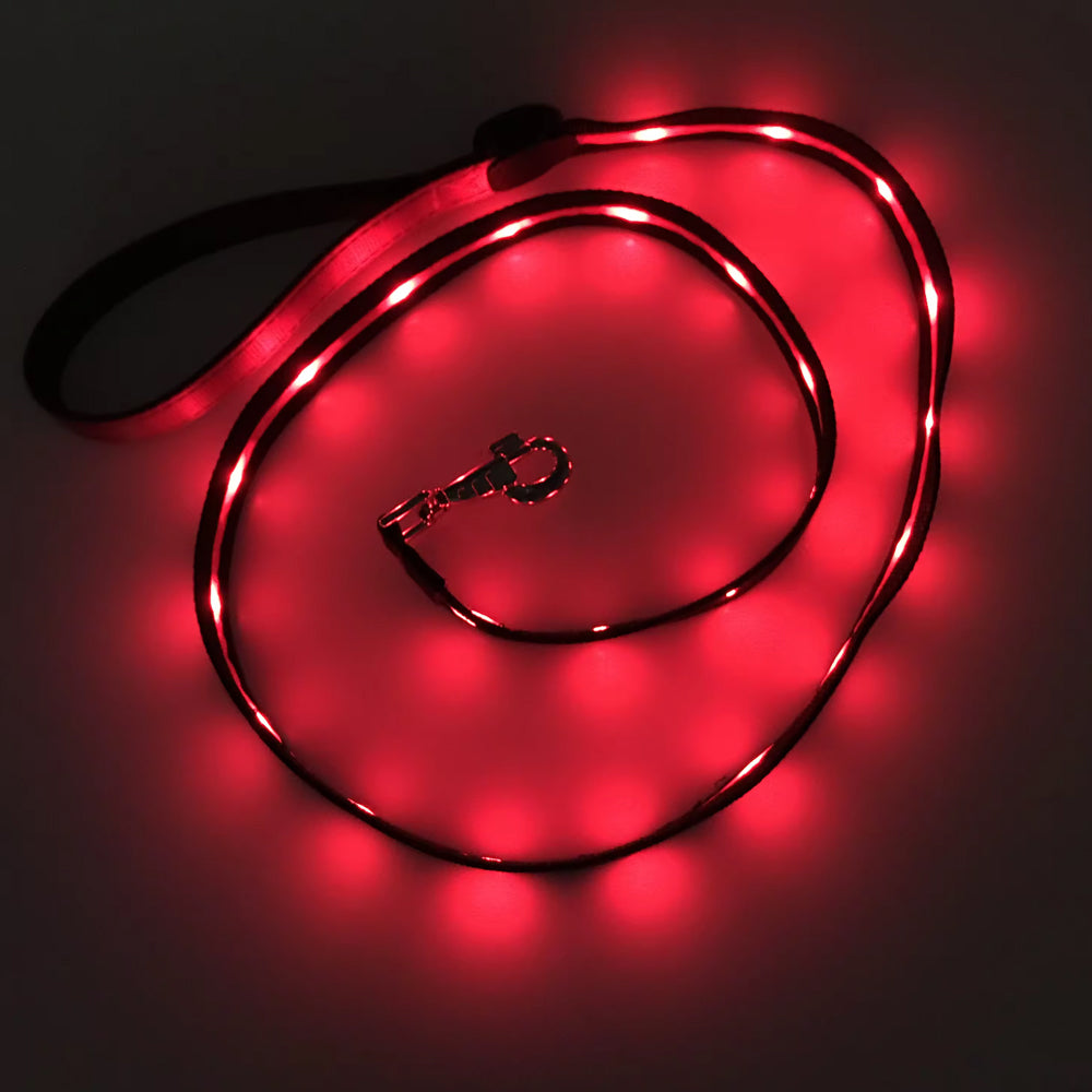 gifts for doodle lovers, golden doodle baby stuff, stuff for goldendoodles, Goldendoodle, Goldendoodle gifts, Goldendoodle toys, Goldendoodle Light Up Flashing LED Leash, Goldendoodle Flashing LED Leash, Goldendoodle LED Leash, Goldendoodle Leash, Goldendoodle Dog Light Up LED Leash, Goldendoodle Dog LED Leash, Goldendoodle Dog Leash, Goldendoodle Dog Belt, Goldendoodle dad Dog Belt, Goldendoodle mom, Golden head, Golden doodle, Golden doodle Dog, Gifts for golden doodle, Golden Doodle Necessities,