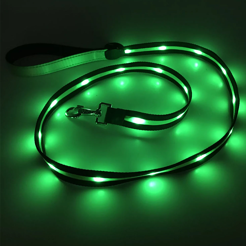 gifts for doodle lovers, golden doodle baby stuff, stuff for goldendoodles, Goldendoodle, Goldendoodle gifts, Goldendoodle toys, Goldendoodle Light Up Flashing LED Leash, Goldendoodle Flashing LED Leash, Goldendoodle LED Leash, Goldendoodle Leash, Goldendoodle Dog Light Up LED Leash, Goldendoodle Dog LED Leash, Goldendoodle Dog Leash, Goldendoodle Dog Belt, Goldendoodle dad Dog Belt, Goldendoodle mom, Golden head, Golden doodle, Golden doodle Dog, Gifts for golden doodle, Golden Doodle Necessities,