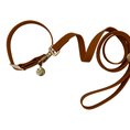 Load image into Gallery viewer, gifts for doodle lovers, golden doodle baby stuff, stuff for goldendoodles, Goldendoodle, Goldendoodle gifts, Goldendoodle toys, Goldendoodle dog collar, Goldendoodle leash, Goldendoodle collar leash, Goldendoodle collar pet, Goldendoodle pet collar leash, Goldendoodle collar for dogs, Goldendoodle leash for dog, Goldendoodle yeti bowl, Goldendoodle dad, Goldendoodle mom, Golden head; Golden doodle; Golden doodle Dog; Gifts for golden doodle; Golden Doodle Necessities; Golden Doodle Must Haves; doodle moms
