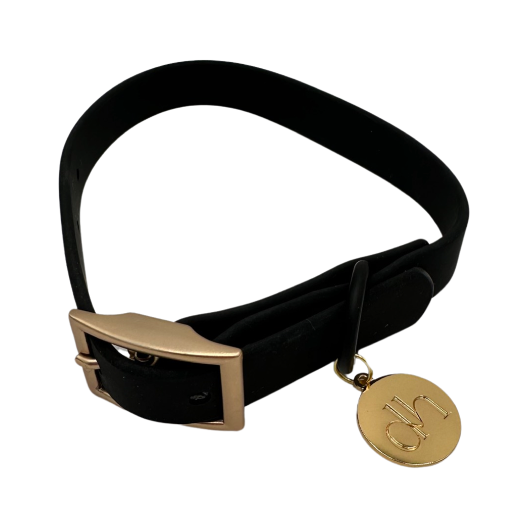 gifts for doodle lovers, golden doodle baby stuff, stuff for goldendoodles, Goldendoodle, Goldendoodle gifts, Goldendoodle toys, Goldendoodle dog collar, Goldendoodle leash, Goldendoodle collar leash, Goldendoodle collar pet, Goldendoodle pet collar leash, Goldendoodle collar for dogs, Goldendoodle leash for dog, Goldendoodle yeti bowl, Goldendoodle dad, Goldendoodle mom, Golden head; Golden doodle; Golden doodle Dog; Gifts for golden doodle; Golden Doodle Necessities; Golden Doodle Must Haves; doodle moms