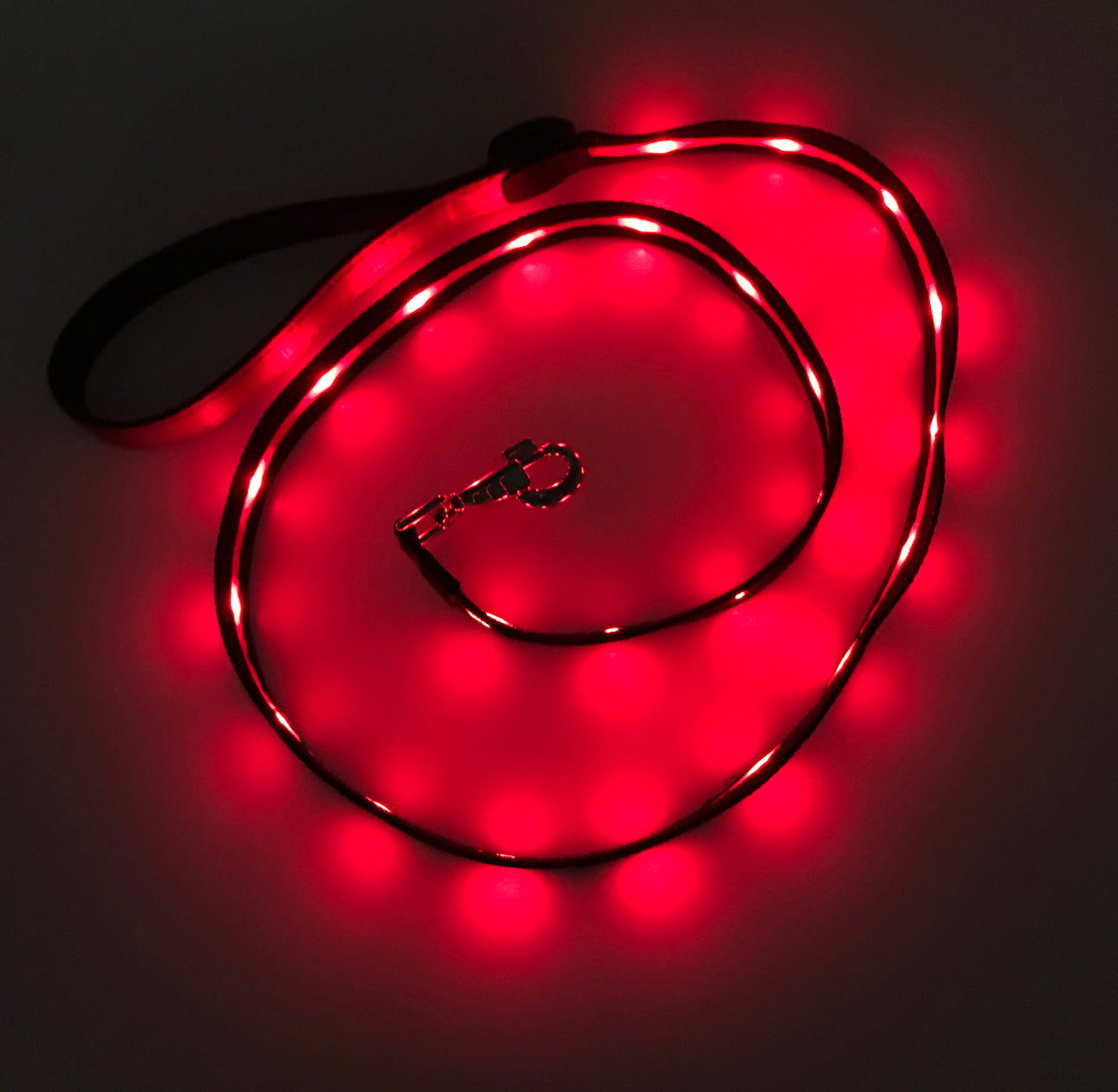 gifts for doodle lovers, golden doodle baby stuff, stuff for goldendoodles, Goldendoodle, Goldendoodle gifts, Goldendoodle toys, Goldendoodle Light Up Flashing LED Leash, Goldendoodle Flashing LED Leash, Goldendoodle LED Leash, Goldendoodle Leash, Goldendoodle Dog Light Up LED Leash, Goldendoodle Dog LED Leash, Goldendoodle Dog Leash, Goldendoodle Dog Belt, Goldendoodle dad Dog Belt, Goldendoodle mom, Golden head, Golden doodle, Golden doodle Dog, Gifts for golden doodle, Golden Doodle Necessities,