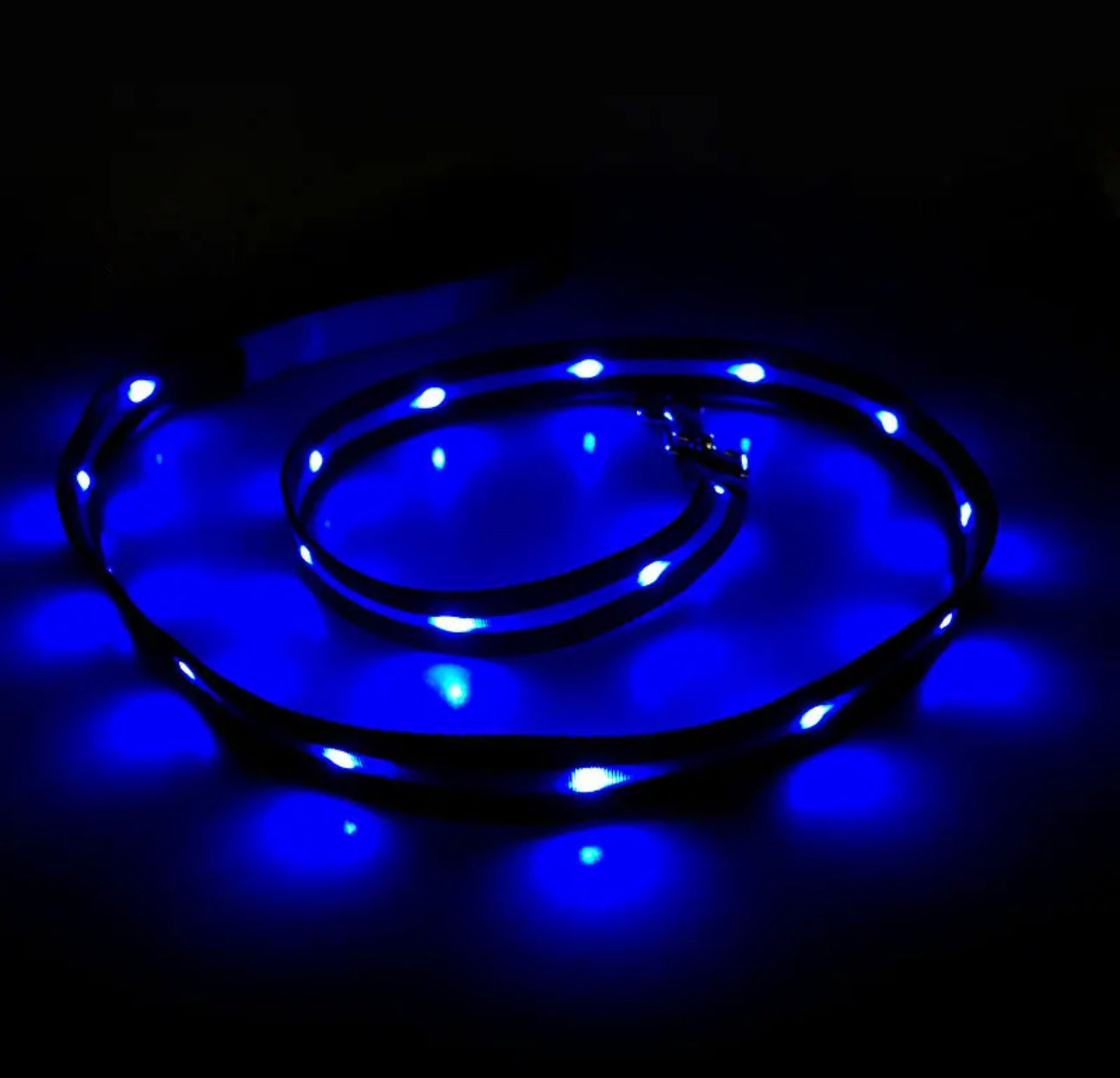 gifts for doodle lovers, golden doodle baby stuff, stuff for goldendoodles, Goldendoodle, Goldendoodle gifts, Goldendoodle toys, Goldendoodle Light Up Flashing LED Leash, Goldendoodle Flashing LED Leash, Goldendoodle LED Leash, Goldendoodle Leash, Goldendoodle Dog Light Up LED Leash, Goldendoodle Dog LED Leash, Goldendoodle Dog Leash, Goldendoodle Dog Belt, Goldendoodle dad Dog Belt, Goldendoodle mom, Golden head, Golden doodle, Golden doodle Dog, Gifts for golden doodle, Golden Doodle Necessities,